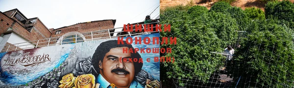 ГАЛЛЮЦИНОГЕННЫЕ ГРИБЫ Заводоуковск