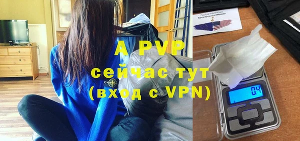 ГАЛЛЮЦИНОГЕННЫЕ ГРИБЫ Заводоуковск