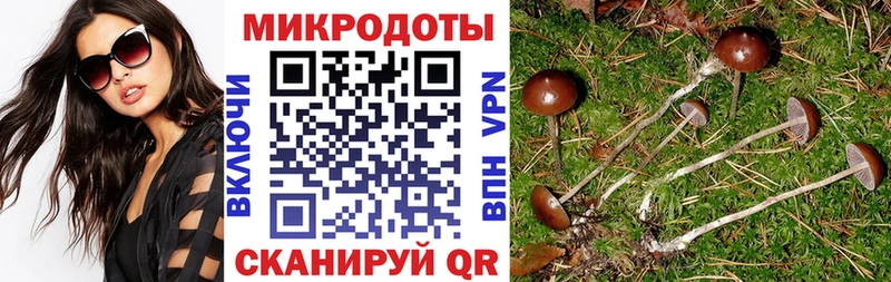 Купить закладки  Уссурийск  Псилоцибиновые грибы ЛСД 
